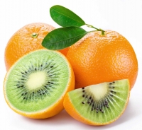 طراحی سایت طراحی سایت
